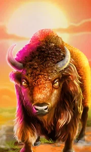 Bison Wilds Doublemax