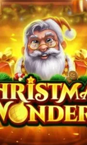 Christmas Wonders